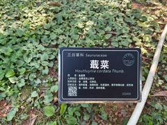 -东莞植物园