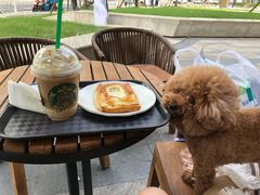 -佳雯宠物医院(金华南路分院)