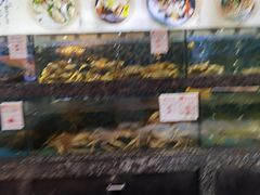 -宝燕壹号(徐汇店)
