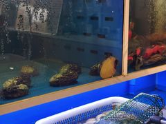 -阿尔法海鲜排档(爱琴海店)