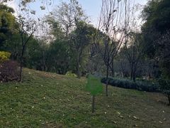 -晓港公园