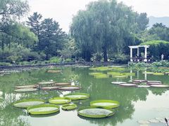 -国家植物园南园