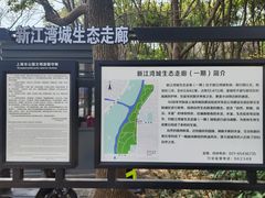 -新江湾城公园