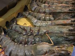 -熊出没日本烧肉放题