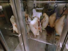 -到家尝北京菜(西坝河店)