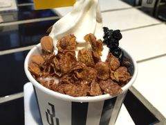 -JW德国冻酸奶Frozen Yogurt(龙湖成都滨江天街店)