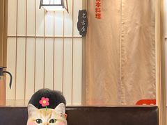 -七条鱼日本料理(远洋乐堤港店)