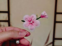 -南京市民俗博物馆(甘熙故居)