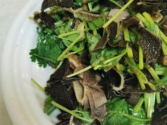 捞起黑牛柏叶-汇兴源餐馆(小北路店)