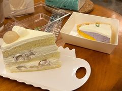 -猫里有甜