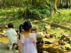 -燕晗山郊野公园