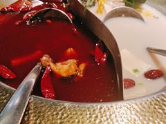 -麻田会 ·鲜活现烹·牛蛙火锅(珠江新城维家思广场店)