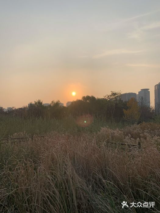 郑东新区湿地公园图片