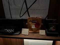 -MEDISN·药厂