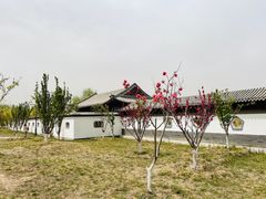 -水西公园