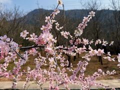 -北京十三陵国家森林公园蟒山景区