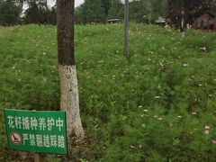 -铁山坪森林公园