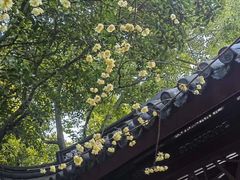 -汇龙潭