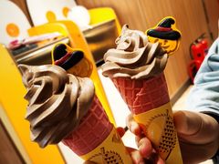 -麦当劳(石家庄北国店)