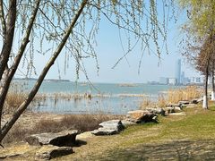 -苏州湾体育公园