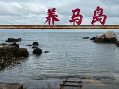 -养马岛旅游度假区
