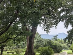 -国家植物园南园