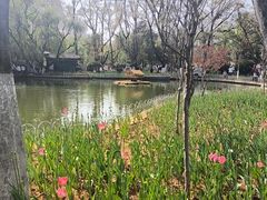 -翠湖公园