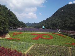 -广州市石门国家森林公园