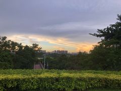 -立新湖公园
