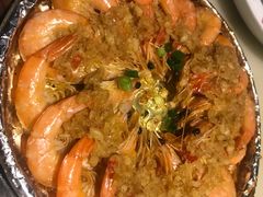 -肥猫(义乌万达店)