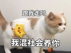 -Miette制菓所