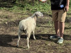 -莫尔道嘎国家森林公园