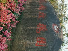 -鹅湖玫瑰文化园