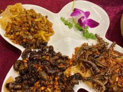 -园林美食城·本土农家菜(杨和镇店)