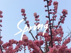 -百荣世贸商城