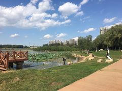 -丁香湖公园