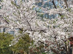 -上海世纪汇广场