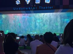 -泉城欧乐堡海洋极地世界