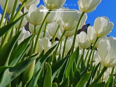 -德全心悦酒店(北京金台路地铁站店)