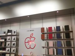 -Apple零售店(深圳益田假日广场店)