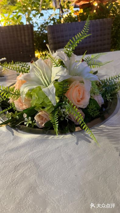 深圳人才公园图片