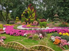 -上海共青森林公园