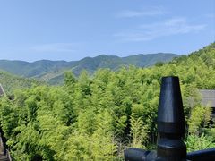 -大唐贡茶院