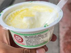 -德禄酸奶(莫家街店)