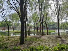 -东郊湿地公园