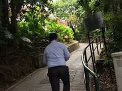 -南丫岛