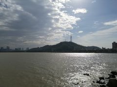 -野狸岛