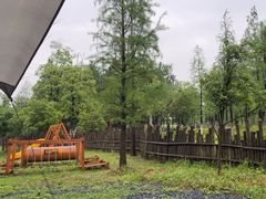 -瑶湖郊野森林公园