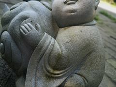 -武陵山森林公园