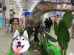 -山姆会员商店(邻瑞广场店)
